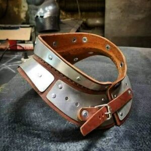 Neck protection - collar