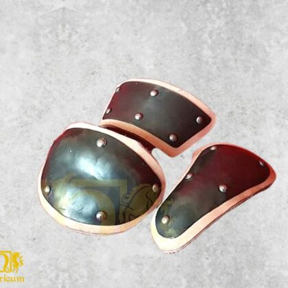 Under shield glove plates