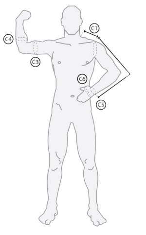 Upper Body & Arms