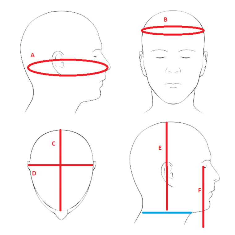 Head