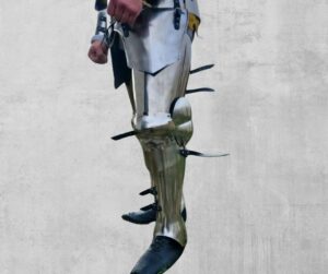 Full plate legs Type 1