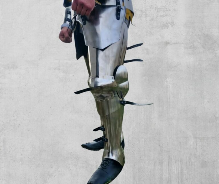 Full plate legs Type 1
