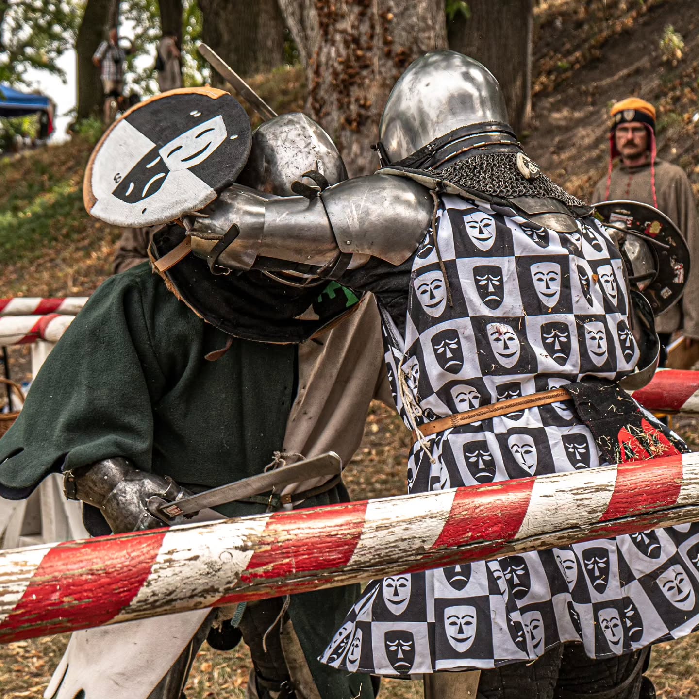 Sword and shield fighters beside the arena barrier