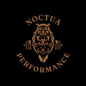 Noctua performance