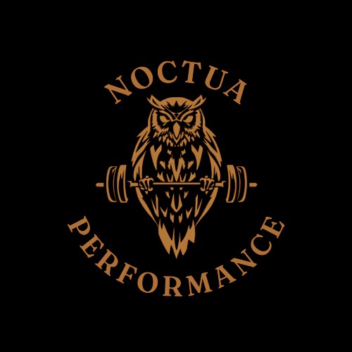 Noctua performance